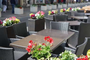 Masa ve sandalyeler, açık yaz kafesi. kırmızı çiçekler. boş yerler. 