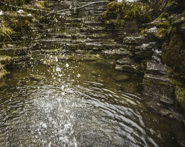 Spruzzi Acqua Sulla Libbra Fatta Sfondo Natura Selvaggia Neve Che — Foto Stock