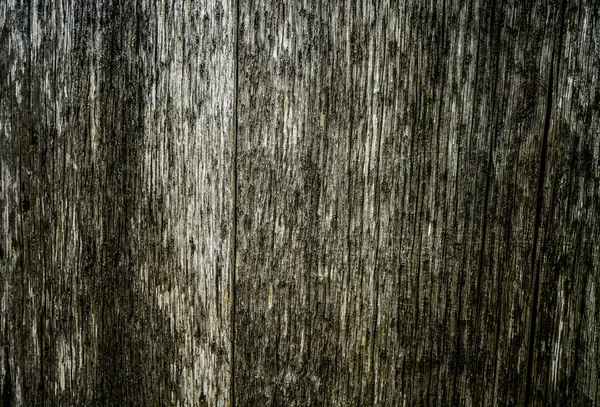 Серые Деревянные Доски Выветренными Трещинами Естественный Фон Потрепанного Шикарного Дизайна — стоковое фото