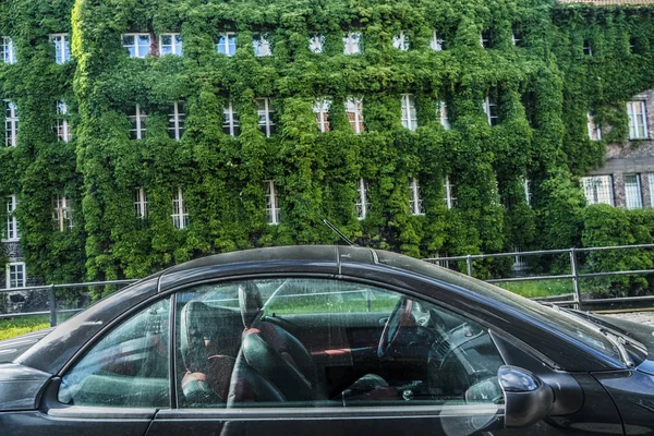 緑の植物がある住宅 ブラックモダン 道路上の高級車 田園風景 サマータイムシーズン — ストック写真