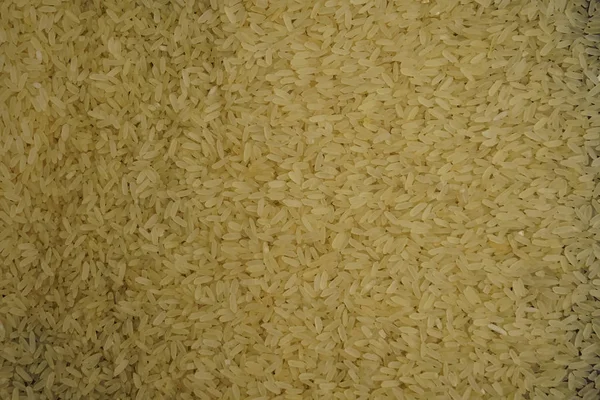 Branco Fundo Arroz Longo Arroz Cru Não Cozido Macro Close — Fotografia de Stock