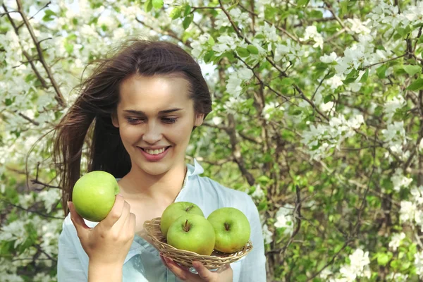 Νεαρή Όμορφη Γυναίκα Κρατώντας Μήλα Φόντο Δέντρο Ανθισμένο Μήλο — Φωτογραφία Αρχείου