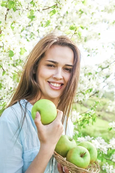 young beautiful woman holding apples against blooming apple tree background