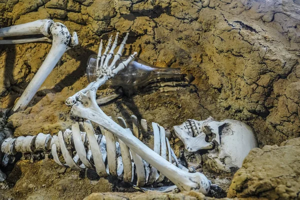 人的头骨和骨头在坟墓里可怕的骨架与空伏特加瓶在胳膊 — 图库照片