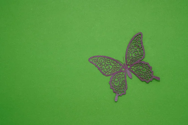 Icono Papel Mariposa Sobre Fondo Verde Horizontal —  Fotos de Stock