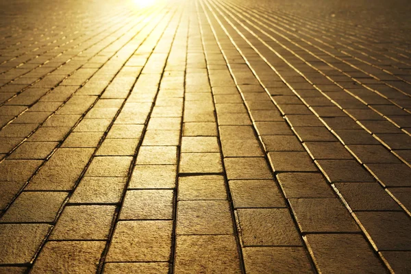 Gün Batımında Kaldırım Taşları Arnavut Kaldırımlı Taşlar Üzerinde Güneş Işığı — Stok fotoğraf
