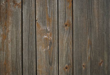 Kırık ve soyma boya ile kurulları eski kahverengi veya sarı ahşap arka plan