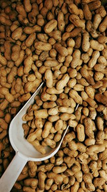 Fındık arka planda lezzetli fıstık ile Kepçe. çiğ gıda arka plan. 