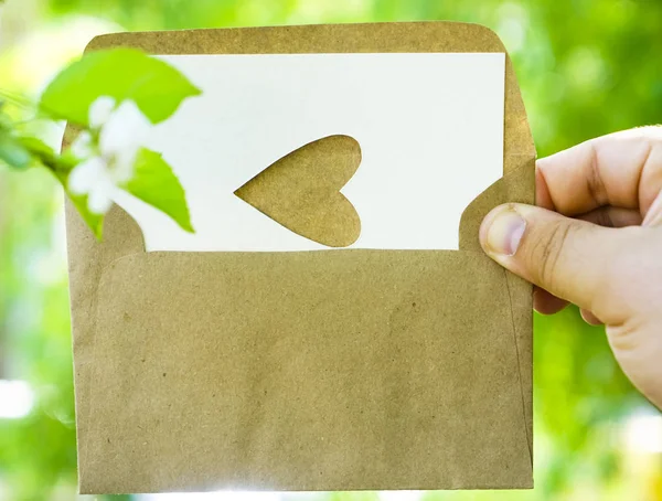 post Card with cutout hole heart shape on white paper. white apple flowers on green branch