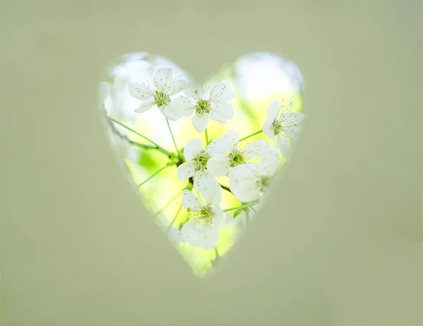 Scheda Con Foro Ritaglio Forma Cuore Carta Fiori Mela Bianca — Foto Stock