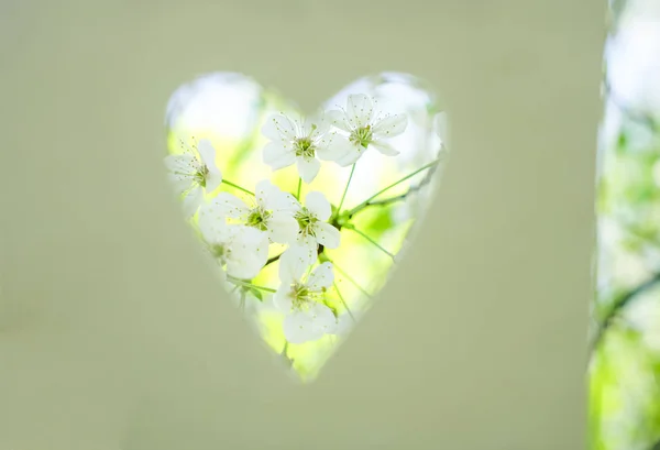 Scheda Con Foro Ritaglio Forma Cuore Carta Fiori Mela Bianca — Foto Stock