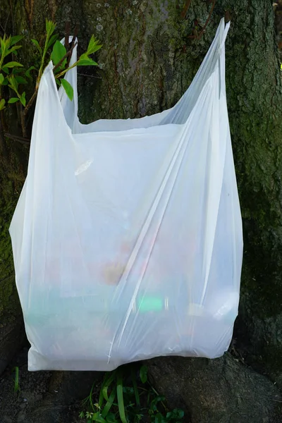 full Plastic bag hanging on tree branch in spring. White plastic bag on bare tree branch