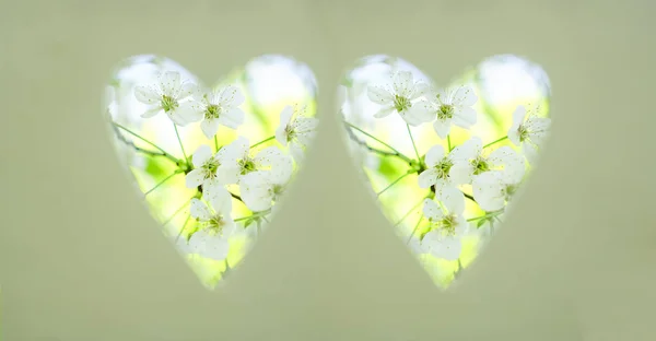Tarjeta Con Agujeros Cortados Forma Corazón Sobre Papel Blanco Flores —  Fotos de Stock