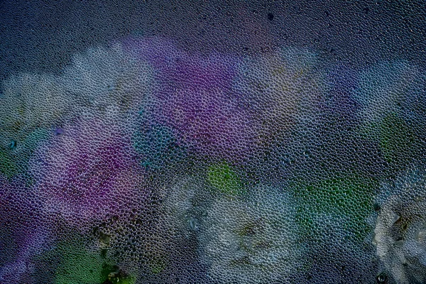 Kwiaty Przez Szkło Misted Kropli Wody Widok Góry Makrofotografii — Zdjęcie stockowe