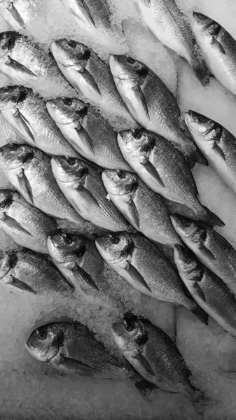 Tło Raw Fresh Fish Łóżku Zimnej Lodu Straganie Owocami Morza — Zdjęcie stockowe