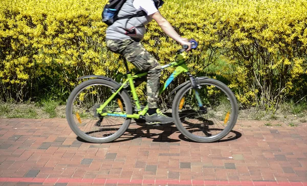 덤불에 거리에 스포티 자전거에서 — 스톡 사진