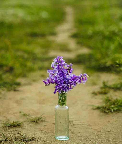 Flores Violetas Primavera Botella Vidrio Garganta Con Fondo Borroso Prado — Foto de Stock