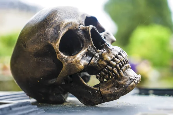 Ατσαλένιο Ανθρώπινο Κρανίο Τάφο — Φωτογραφία Αρχείου