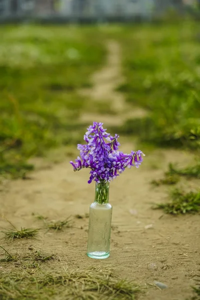 Flores Violetas Primavera Botella Vidrio Garganta Con Fondo Borroso Prado — Foto de Stock
