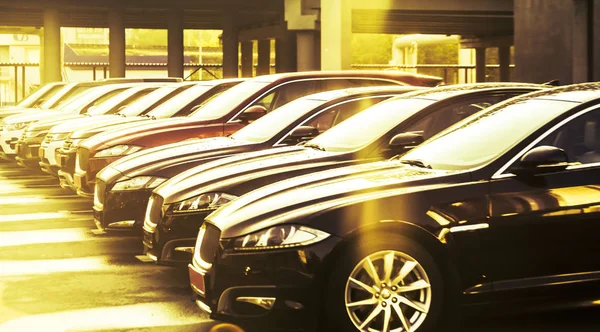 Luxusautos Zum Verkauf Autohändler Inventar — Stockfoto