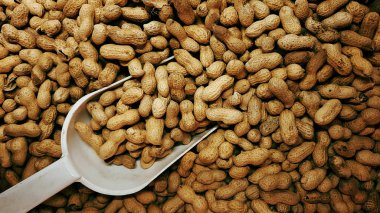 Fındık arka planda lezzetli fıstık ile Kepçe. çiğ gıda arka plan. 