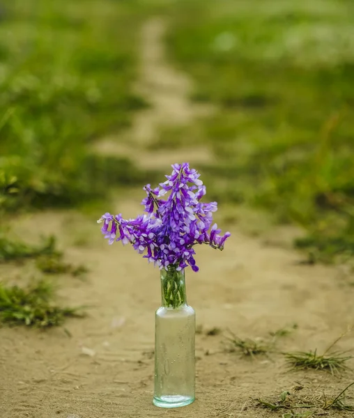 Flores Violetas Primavera Botella Vidrio Garganta Con Fondo Borroso Prado — Foto de Stock