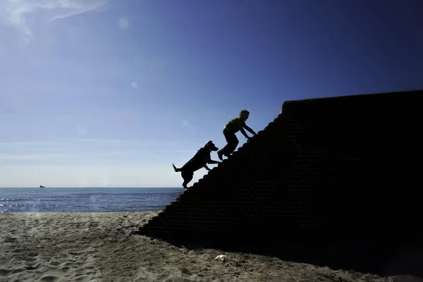 Silhouette Boy Dog Steep Stairs Sunny Sky Background Concept Growth — Stock Photo, Image