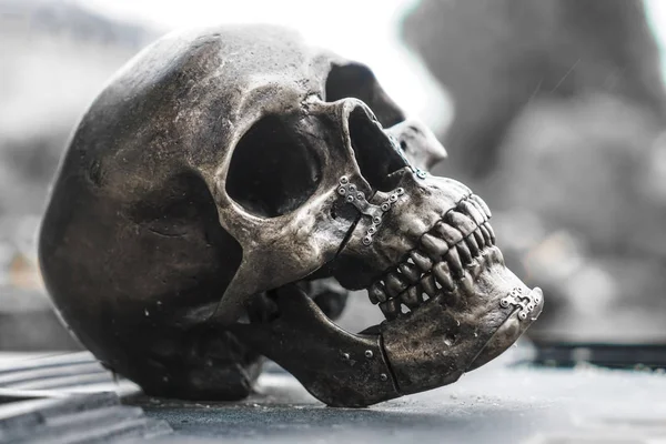Crânio Humano Aço Sepultura — Fotografia de Stock