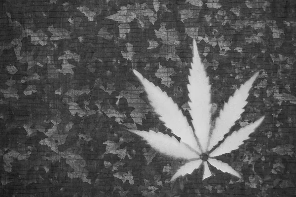 背景または質感として麻を持つ古い金属 鉄壁の質感に描かれたマリファナの葉 — ストック写真