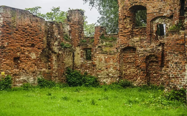 ruined walls and courtyard, overgrown with grass in the ruins of an old medieval red brick building