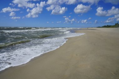 Perspektif - okyanus ve plaj yüksek gelgit ufukta bir araya geliyor - Ağaçlar plaj sınırı ve insanlar uzak mesafe yürümek. baltık denizi. 