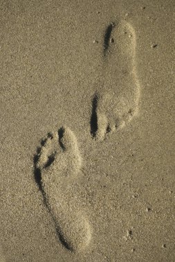 Gri Görüntü ayak izleri n kum
