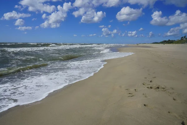 Perspective Océan Plage Rejoignent Horizon Marée Haute Les Arbres Bordent — Photo