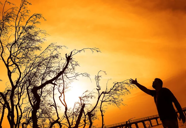 bir adamın karanlık silueti elini gökyüzüne doğru kaldırdı 