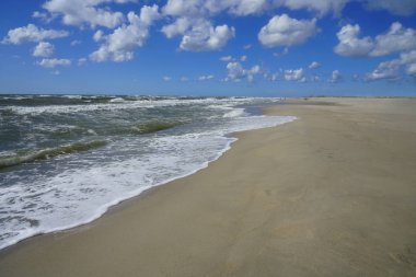 Perspektif - okyanus ve plaj yüksek gelgit ufukta bir araya geliyor - Ağaçlar plaj sınırı ve insanlar uzak mesafe yürümek. baltık denizi. 