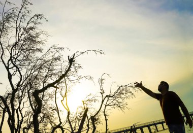 bir adamın karanlık silueti elini gökyüzüne doğru kaldırdı 