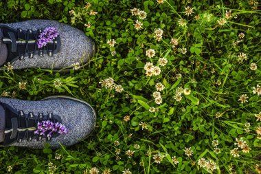 yeşil çim arka plan üzerinde mavi ayakkabı çifti. Beyaz yonca çiçeklerle dolu yeşil çimmavi spor ayakkabı ayak üst görünümü.