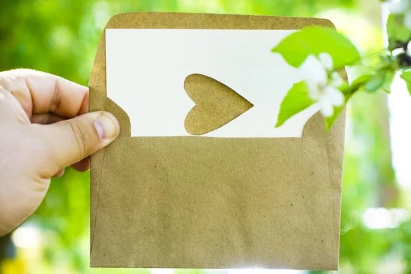 post Card with cutout hole heart shape on white paper. white apple flowers on green branch