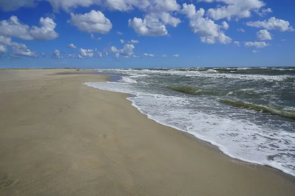 Perspectiva Oceano Praia Reúnem Horizonte Maré Alta Árvores Fazem Fronteira — Fotografia de Stock