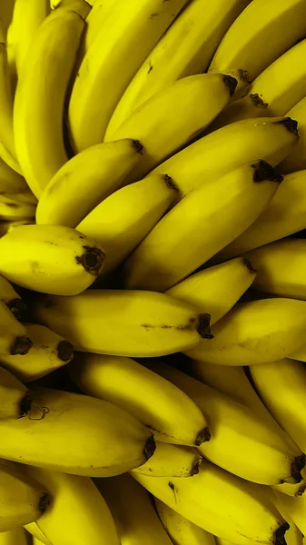 黄色のバナナ積層 新鮮なバナナの背景がたくさんあります — ストック写真