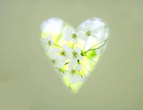 Scheda Con Foro Ritaglio Forma Cuore Carta Bianca Fiori Mela — Foto Stock