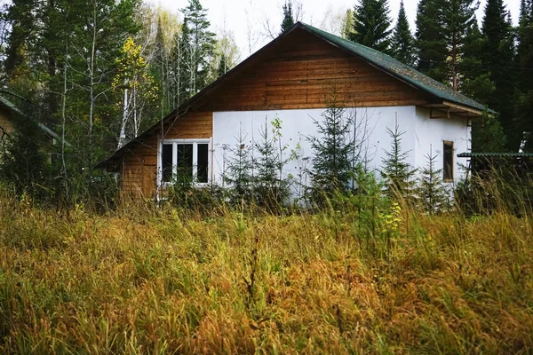 Eski Ahşap Ile Rusya Sonbahar Kırsal Manzara Sonbahar Ormanda Sonbahar — Stok fotoğraf