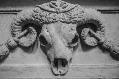 beyaz taşlı duvar arka plan üzerinde büyük boynuz ile ram Skull