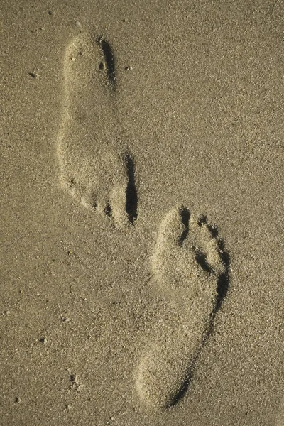 Gray Image Footprints Sand — Stock Photo, Image