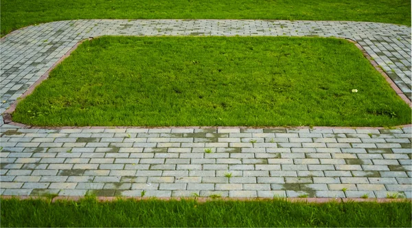 Het Stenen Blok Lopen Pad Het Park Met Groene Gras — Stockfoto