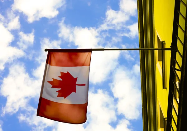 Stor Kanada Flagga Vinka Vinden Med Vägg Bakgrunden Blå Grumlig — Stockfoto