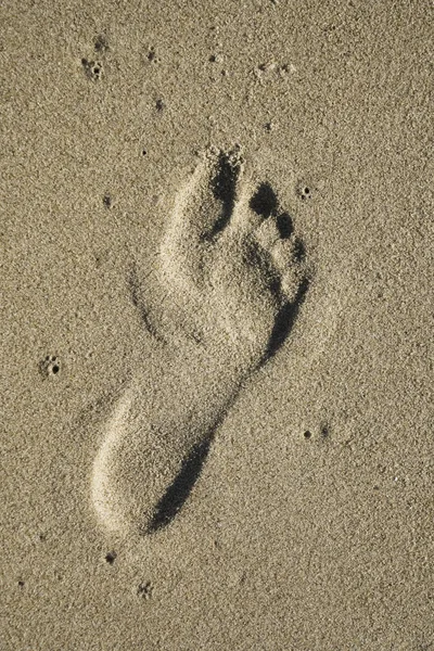 One Left Step Beach Sand Sunlight Shadow Photo Human Footprint — Stock Photo, Image