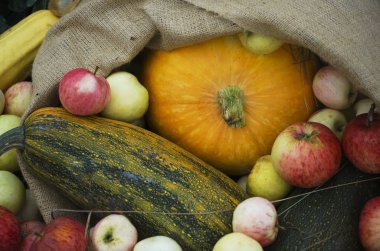 sonbahar hasadı. çiğ gıda arka plan. 