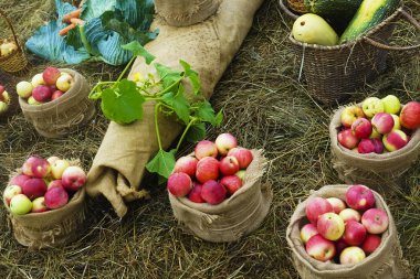 kuru saman taze meyve ve sebze 