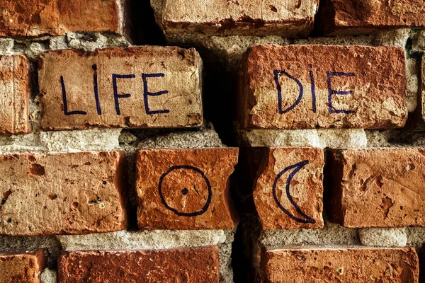 Words Life Die Background Broken Brick Wall Divided Cracks Astrology — Stock Photo, Image